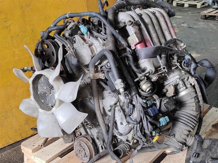 Двигатель Ниссан Эльгранд в Солнечногорске 51254