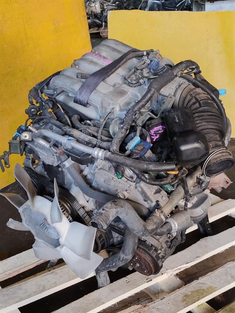 Двигатель Ниссан Эльгранд в Солнечногорске 51266